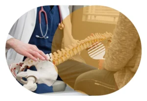 The Maintenance Back Door From Your Chiropractic Mentor